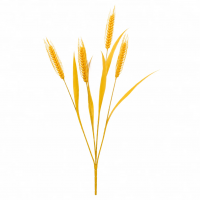 Planta Artificiala Iarba Ornamentala, 83 cm, cu 4 Fire, Spice de Grau, Galben, Fara Ghiveci Planta Artificiala Iarba Ornamentala, 83 cm, cu 4 Fire, Spice de Grau, Galben, Fara Ghiveci