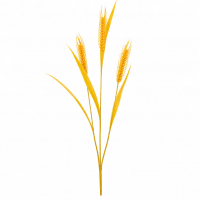 Planta Artificiala Iarba Ornamentala, 83 cm, cu 3 Fire, Spice de Grau, Galben, Fara Ghiveci Planta Artificiala Iarba Ornamentala, 83 cm, cu 3 Fire, Spice de Grau, Galben, Fara Ghiveci