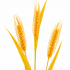 Planta Artificiala Iarba Ornamentala, 83 cm, cu 3 Fire, Spice de Grau, Galben, Fara Ghiveci [2]