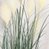 Planta Artificiala Iarba Ornamentala, 150 cm, cu 7 Fire, Stuf si Iarba, Verde si Alb, Fara Ghiveci [2]