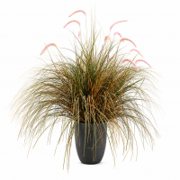 Planta Artificiala Iarba Ornamentala Tip Coada de Vulpe, 120cm, Iarba curbata si Spice, Verde si Roz, Fara Ghiveci