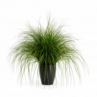 Planta Artificiala Iarba Ornamentala Tip Fantana, 110cm, Verde, Fara Ghiveci Planta Artificiala Iarba Ornamentala Tip Fantana, 110cm, Verde, Fara Ghiveci