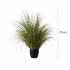 Planta Artificiala Iarba Ornamentala, 75 cm, cu Frunze Vargate, Verde, Fara Ghiveci [3]