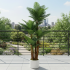 Planta Artificiala Copac Tip Palmier, 4 brate, 170 cm, Verde, cu Ghiveci [3]