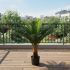 Planta Artificiala Copac Tip Palmier, 18 frunze, 95 cm, Verde, cu Ghiveci [4]
