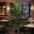 Planta Artificiala Copac Tip Palmier Kentia, 3 tulpini, 30 frunze, 190 cm, Verde, cu Ghiveci [3]