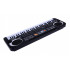 Orga electronica cu 61 de clape si microfon pentru copii (Keyboard, Pian electronic) [4]