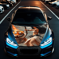 Folie Capota Auto Folie Capota Auto
