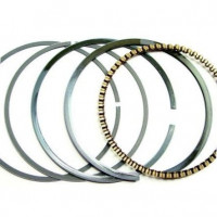 Pubert Segmenti loncin 212cc lc170f r210 pubert compact vario 55lc d70x1.5x1.5x2.5mm ca 0001180009 130070086-t350 Pubert Segmenti loncin 212cc lc170f r210 pubert compact vario 55lc d70x1.5x1.5x2.5mm ca 0001180009 130070086-t350