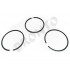 Bronto Segmenti wm 186f  diesel  wm1100be-6   11.006.004.7101 [2]