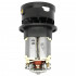 Ikra Motor electric ikra trimer 300w, cu carcasa cap damil da   12190857 [2]
