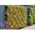 Bronto Set ghiveci perete vertical -perete 5  (20x15x11cm)×40buc.  16cm/80cm [7]