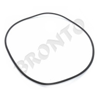 Bronto Inel-o-ring carcasa pompa bronto qgz80-30  11.023.001.9063  40019-80