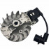 AL-KO Bobina aprindere si volant al-ko bc410 bc4125  412034  ca 1e36f-2e.2.1.2-kpl 30-412034-1 30-412191 411269 411270 [4]