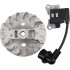 AL-KO Bobina aprindere si volant al-ko bc410 bc4125  412034  ca 1e36f-2e.2.1.2-kpl 30-412034-1 30-412191 411269 411270 [5]