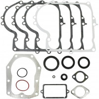 Briggs&Stratton Set garnituri motor briggs & stratton 10.5-14.5hp etc 494241 ca 490525, cu 091309ma 270796 270853 270915 270916