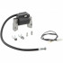 Briggs&Stratton Bobina aprindere briggs & stratton 300 450 475 500 525 550 series classic sprint quattro xc 3.5 3.75 4.0 4.5 4.75 [6]