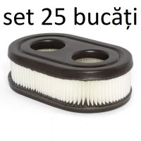 Briggs&Stratton Filtru aer oval 110x66x33mm oo28mm briggs & stratton 575ex 625e-ohv 625exi 650exi 675exi 675is etc 593260m Briggs&Stratton Filtru aer oval 110x66x33mm oo28mm briggs & stratton 575ex 625e-ohv 625exi 650exi 675exi 675is etc 593260m