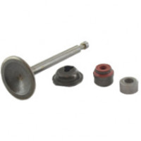 Briggs&Stratton Supapa admisie briggs & stratton 675e 675ex 675exi 675is 725e series 163cc readystart etc  594094  cu siguranta