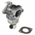 Briggs&Stratton Carburator briggs & stratton 31xxxx etc  594605 ca 591734 594603 790023 792768 796110 [2]