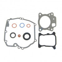 Briggs&Stratton Set garnituri motor briggs & stratton 800exi 850e 875exi 875is instart  597320  cu 299819s 399781s 597316 597318