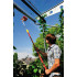 WOLF-Garten Matură colțuri wolf-garten multi - star bw 25 m (mâner recomandat zm-v3 sau zm-v4) [2]