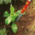 WOLF-Garten Extractor de buruieni iw-f wolf garten [6]