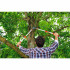 WOLF-Garten Foarfeca crengi 50mm wolf-garten power cut*** rs 900 t [4]