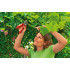 WOLF-Garten Foarfeca de gradina si vie wolf-garten rs 2500 comfort plus [2]