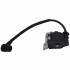 Ikra Bobina aprindere ikra pcs3835 pcs4040  75000589 [5]