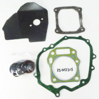 MTD piese Set garnituri mtd ohv 1p65fh etcc 2006-2007 exterioare 751-10315 ca 6046034 MTD piese Set garnituri mtd ohv 1p65fh etcc 2006-2007 exterioare 751-10315 ca 6046034