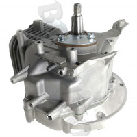 MTD piese Bloc motor complet mtd ohv 1p70rh 1p70rha 5p70mhb etctr 2010-2017  751-10414  751-10414a  751-10414b  vafi  751-12724