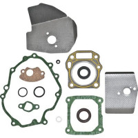 MTD piese Set garnituri mtd ohv 1p61eh fe fea ff fh qh etcc 2006-2008  ca 3061-m6-0009  751-10316  751-10422  mtd16-il23-0100