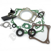 MTD piese Set garnituri mtd ohv 165-rh 170-dh 170-tha 170-thb etctr 2008-2020 3061-m6-0014 751-10802 751-10802a MTD piese Set garnituri mtd ohv 165-rh 170-dh 170-tha 170-thb etctr 2008-2020 3061-m6-0014 751-10802 751-10802a