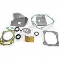 MTD piese Set garnituri mtd ohv 1p61bh 1p61bha 1p61bhb 1p61dh 1p61fha 1p61fi 1p61mh 1p61mha 1p61nha 1p61nhb 1p61ph 1p61rh etc