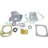 MTD piese Set garnituri mtd ohv 1p61bh 1p61bha 1p61bhb 1p61dh 1p61fha 1p61fi 1p61mh 1p61mha 1p61nha 1p61nhb 1p61ph 1p61rh etc [2]