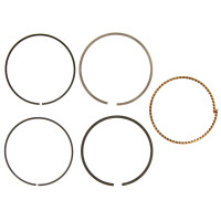 MTD piese Segmenti mtd ohv 1t65nua nub rh rhb rhc rua rub, 1x65cu rh rha rhb, 5t65rh rha rhb, 5x65mu rh rha rhb ru rw vu, 6x65rh MTD piese Segmenti mtd ohv 1t65nua nub rh rhb rhc rua rub, 1x65cu rh rha rhb, 5t65rh rha rhb, 5x65mu rh rha rhb ru rw vu, 6x65rh