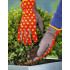 WOLF-Garten Manusi gradina balcon wolf-garten gh-ba 10, marimea l [2]