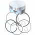 Briggs&Stratton Piston briggs & stratton 9-16hp 3125 3130 series extendedlife i/c intek ohv powerbuilt etc  792307  ca 698371 [2]