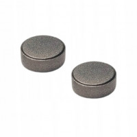 Briggs&Stratton Pastila supapa per-2-buc briggs & stratton 700 750ex dov etc 793535 Briggs&Stratton Pastila supapa per-2-buc briggs & stratton 700 750ex dov etc 793535