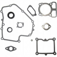 Briggs&Stratton Set garnituri motor briggs & stratton 700e 750ex 775ex 775is series 161cc commercial dov etc  793623 cu 299819s