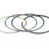 Briggs&Stratton Segmenti briggs & stratton quantum 07090300-09041700  795431  ca 796641 etc [2]