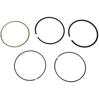 Briggs&Stratton Segmenti briggs & stratton quantum 1x1x2mm .020 0.508mm cota-ii 07090300-09041700 etc 795432 Briggs&Stratton Segmenti briggs & stratton quantum 1x1x2mm .020 0.508mm cota-ii 07090300-09041700 etc 795432