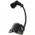 Ikra Bobina aprindere ikra ibhs62 bhsn602   82000310 [2]