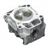 Briggs&Stratton Chiulasa briggs & stratton 800 800e 850e 875ex 850ex 875is eco instart plus etc  84003960  ca 796471 [4]