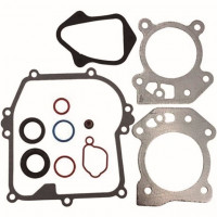 Briggs&Stratton Set garnituri motor briggs & stratton 500e 550e 575ex 84006582 ca 590590 592640 595350, cu 691031 799581 799586 Briggs&Stratton Set garnituri motor briggs & stratton 500e 550e 575ex 84006582 ca 590590 592640 595350, cu 691031 799581 799586