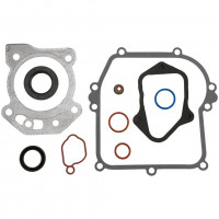 Briggs&Stratton Set garnituri motor briggs & stratton 675e 675ex 675exi 675is 725e series 163cc readystart etc  84006591  ca