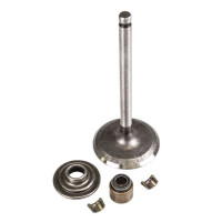 Briggs&Stratton Supapa admisie briggs & stratton 9-21hp etc  84013513  ca 495857 695761 791935  cu simering 690968 ca 272610