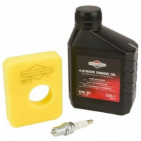 Briggs&Stratton Kit intretinere briggs & stratton 300e 450e 500e series etc 992231 cu 0.5 ulei sae30 100004e, filtru aer 799579, Briggs&Stratton Kit intretinere briggs & stratton 300e 450e 500e series etc 992231 cu 0.5 ulei sae30 100004e, filtru aer 799579,