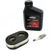 Briggs&Stratton Kit intretinere briggs & stratton 550e 550ex 575ex 625exi series etc 992232 cu  0.5 ulei sae30 100004e, filtru aer... [2]